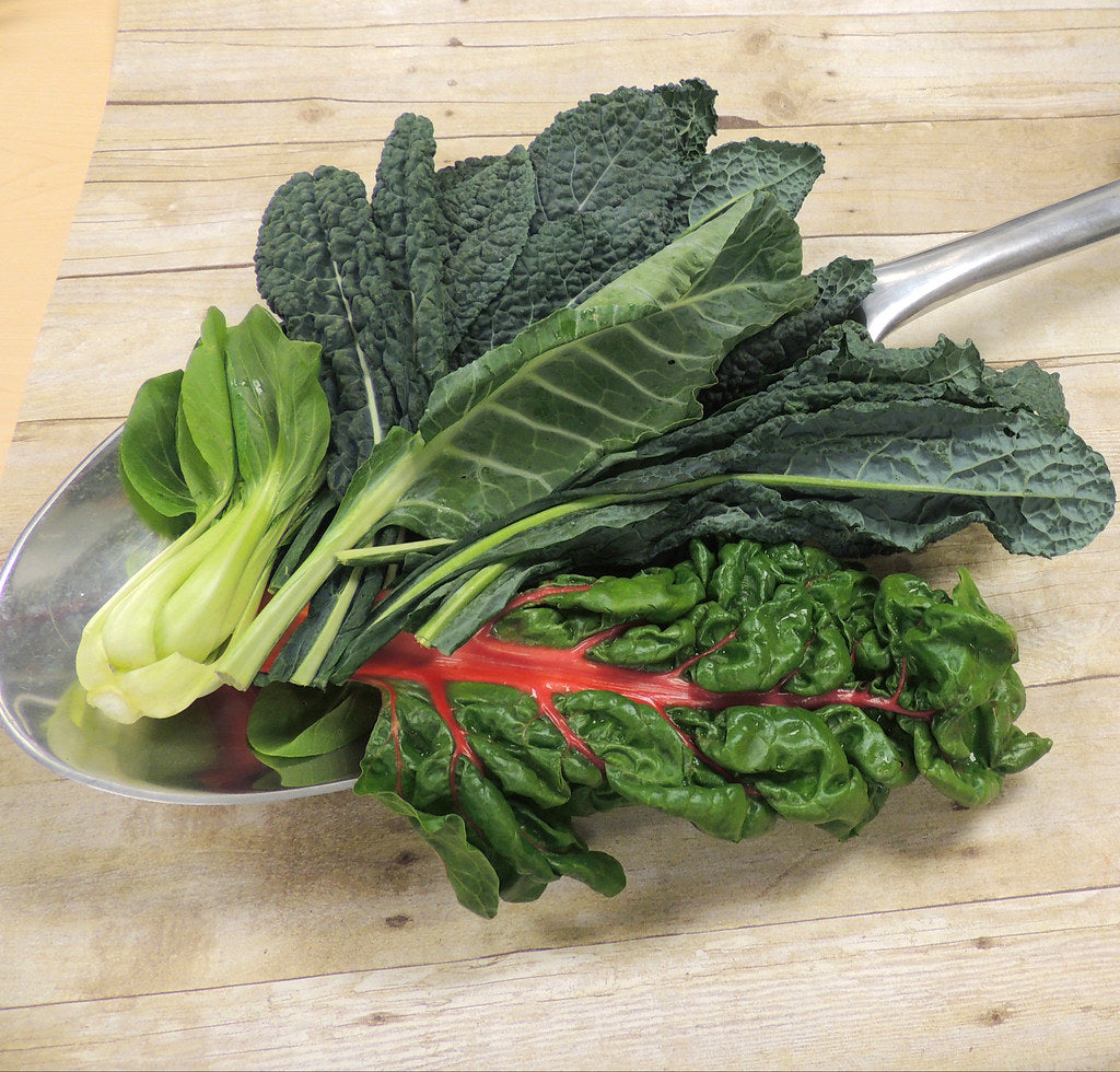 L-Methylfolate vs Folic Acid: Why the Form Matters
