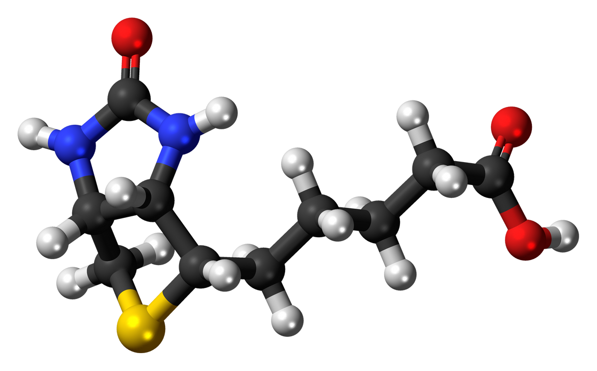Biotin Isn't the Whole Story for Hair Growth