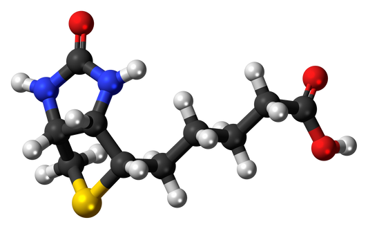 Biotin Isn't the Whole Story for Hair Growth