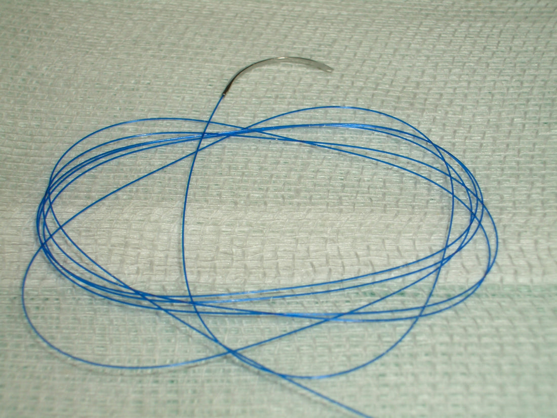 Elastin vs Collagen: What's the Actual Difference?