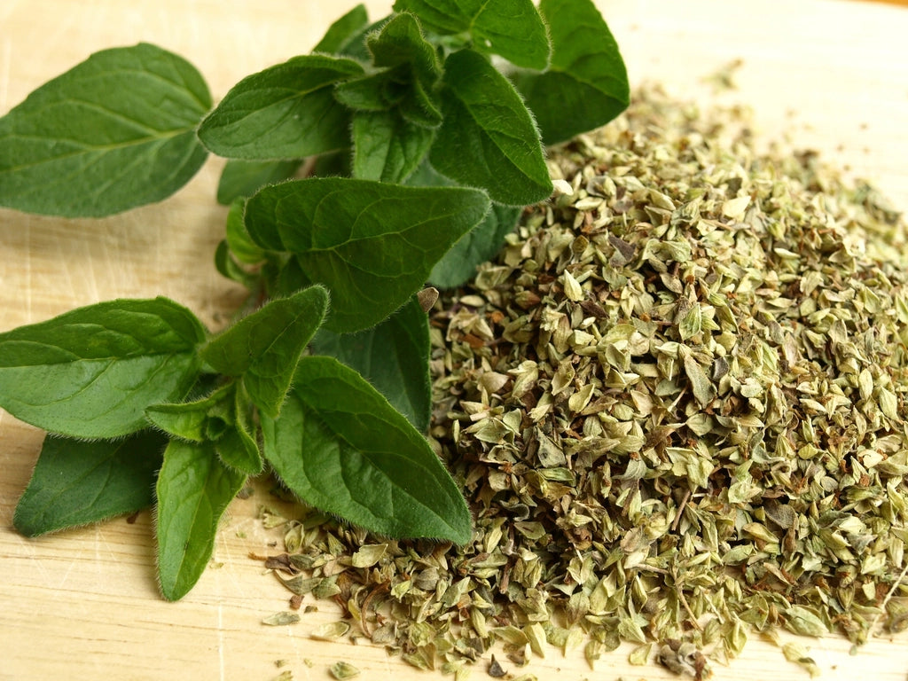Oil of Oregano and Black Seed Oil: How to Use Both Together