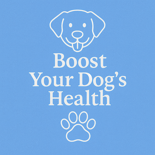 Science-Backed Dog Health Guide