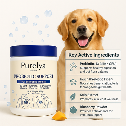 Probiotic Chew