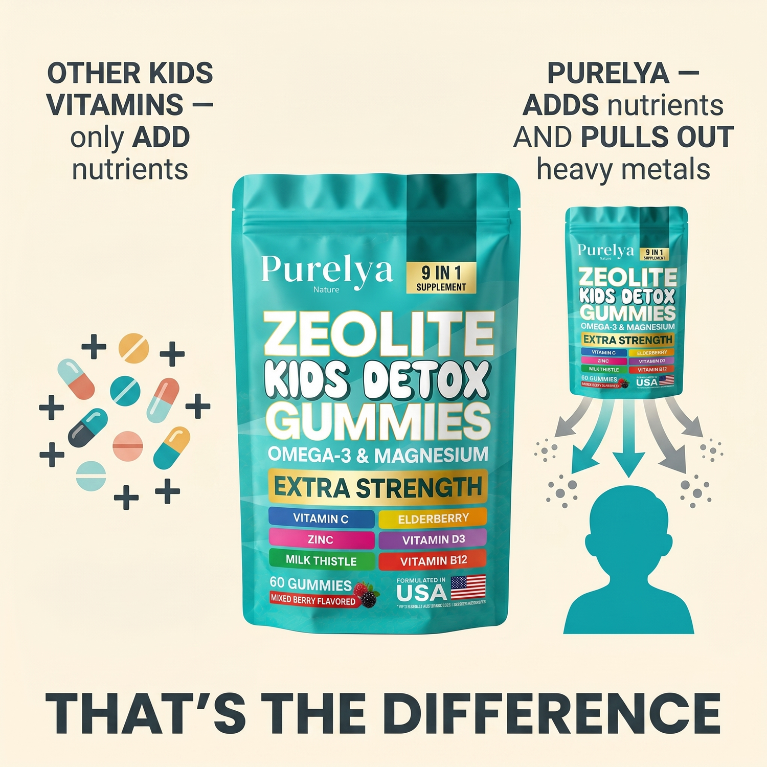 zev2-infographic-difference