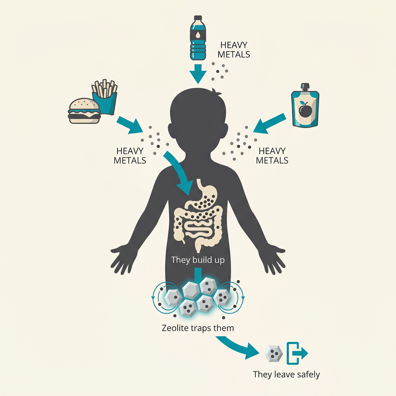 zev2-infographic-heavymetals