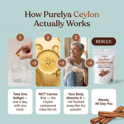 Ceylon Cinnamon 7,200mg with MCT Oil®