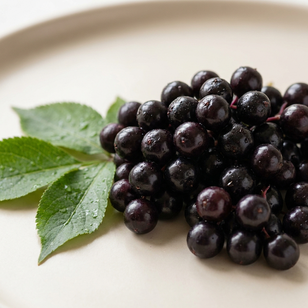 Milk Thistle, Zinc & More — 9-in-1 Daily Support